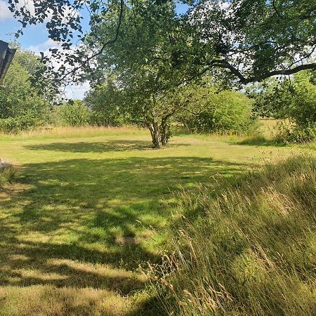 Skogsbaeckens Stugby Ab Tomelilla Exterior foto