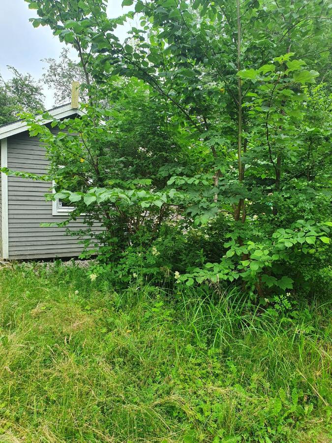Skogsbaeckens Stugby Ab Tomelilla Exterior foto