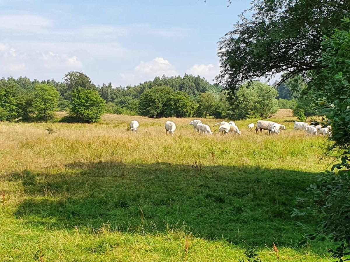 Skogsbaeckens Stugby Ab Tomelilla Exterior foto